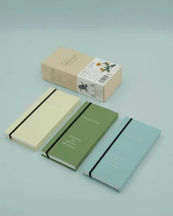 Diy, Krea Og Stationary^SERAMIKKU Tombow Irojiten Rainforest (#1) - farveblyantsæt 30 stk.
